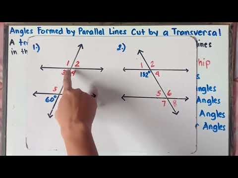 Angles Formed by Parallel Lines Cut by a Transversal | G9 | Term 1 | Explain in Detailed |