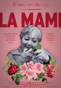 La Mami streaming: where to watch movie online?