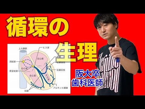 Become an expert! Physiology of circulation ① (Basics of the heart, conduction system) [Anatomy a...