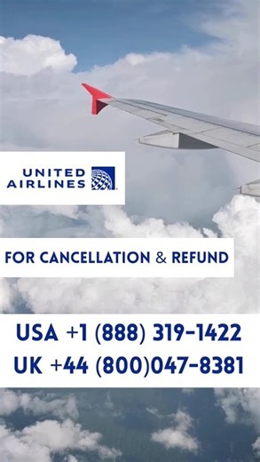 United Airlines Refund Process Explained | Cancel Flights Without Stress