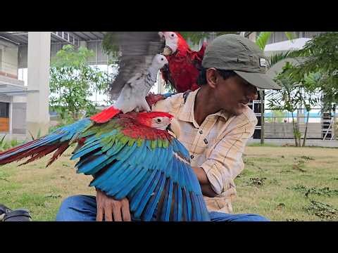 Exciting New Arrivals of Birds & Animals at Parrot Dipankar's New Farm!