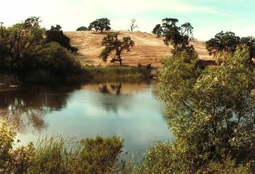 Stanford & Palo Alto History | ARASTRADERO LAKE | Facebook
