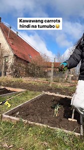 Hindi na pansin na daanan nang winter nag ka snow hindi naman nasira pero hindi din tumubo. | Pearly Alms