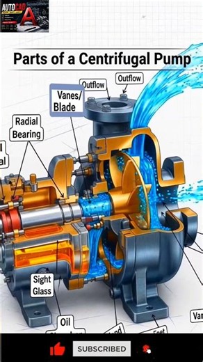 Parts of a Centrifugal Pump Explained | Working Principle Animation #shorts
