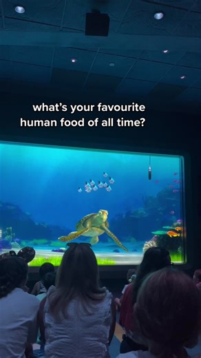 Exploring Epcot with Nemo and Crush in Florida