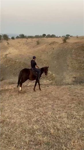 Thar pro mex 😂 4×4 Mountain 🏔️ 70⁰ angle slope.