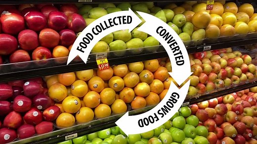 DR. EARTH 4 lbs. Organic Acid Lovers Azalea Camellia Rhododendron and Maple Fertilizer Dry Fertilizer 100518428