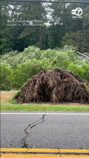 Moment Massive Tree Falls Onto Home During Northwest Georgia Flooding