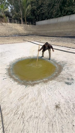 Fish farming with Japan's improved technology #reelsfypシ #agriculture