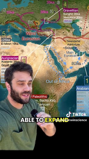 Why East Asians Have More Neanderthal DNA