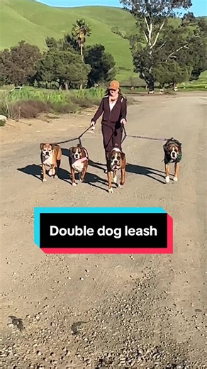 Dual dog leash is the only way I walk multiple dogs! #dogwalking #dogleash #dual #double @iYoShop US