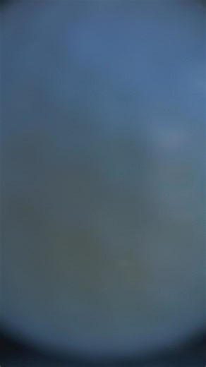 There’s no better feeling than opening a fresh sleeve of TP5x golf balls. Learn how its performance in the wind and explosive distance off the tee can help your game. | TaylorMade Golf