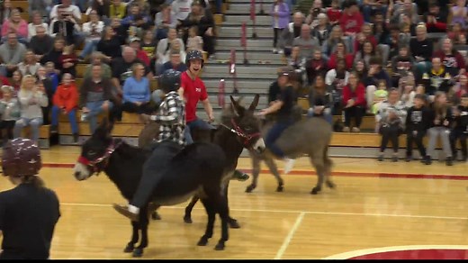 2.2K views · 20 reactions | What is Donkey Basketball? | WTRF 7News | Facebook