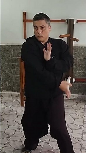Bak Mei Pai / Hakka Kung Fu