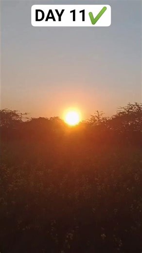 DAY 11 ✔️😜 😁 // vloger kaishav // #shorts #youtubeshorts #viral #minivlog #vlog