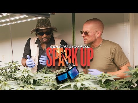 Collie Buddz x Busy Signal - 'Spark Up' (Official Music Video)