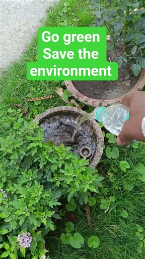 Going green is essential to save our environment 🙏🙏🙏 plant tree.