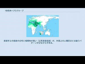 Y染色体ハプログループ
