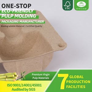 [Hot Item] Kbd-Recycled Paper Pulp Tray for Electronic and Cosmetics Applications