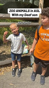 ZOO ANIMALS IN SIGN LANGUAGE #motherhood #boymom #parenting #mom #sahm #hearing #deaf #cochlearimplant #cochlearimplants #signlanguage #asl #family #zoo #zooanimals | Brittney Nolte