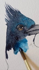 10K views · 300 reactions | Watercolor Steller's Jay. Full tutorial on Patreon with outline drawing. Link below | Painted Wing | Facebook
