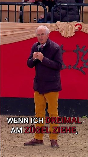 Pferdeausbildung: Nadine Marzahl und Good Vibes Only in der Derby Academy