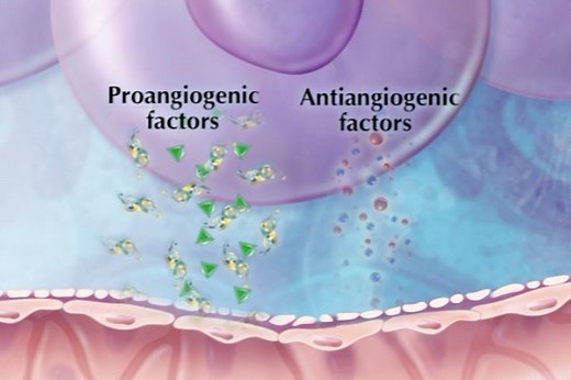 MTT 01: Angiogenesis