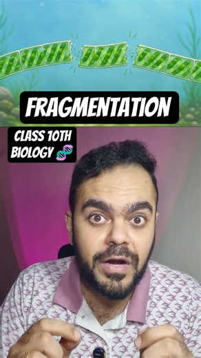 Fragmentation in Spirogyra Explained 🧬 | How do organisms reproduce | Class 10 Science