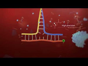 POCT CLIA Automated Analyzer-C5000 principle