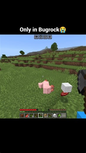 What is this Mojang?😭 #minecraft