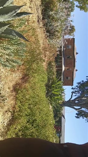 mcleods daughters places irl #mcleodsdaughters