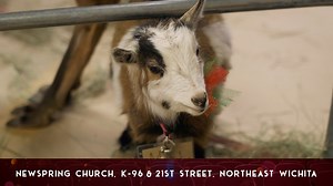 67K views · 935 reactions | We'd like to invite you to be our guest this Christmas at NewSpring! We'll be holding seven identical Christmas Eve services on December 22, 23, and 24. Visit newspring.org for service times and details. | NewSpring Church - Wichita, Kansas | Facebook