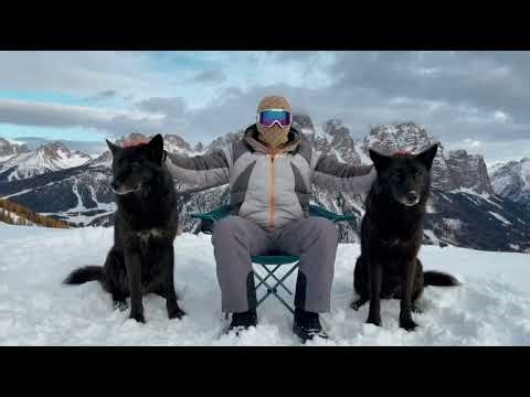 YBL - VISION ( Visualiser )