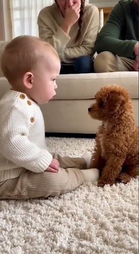 Cutest Moments Ever That Will Melt Your Heart
