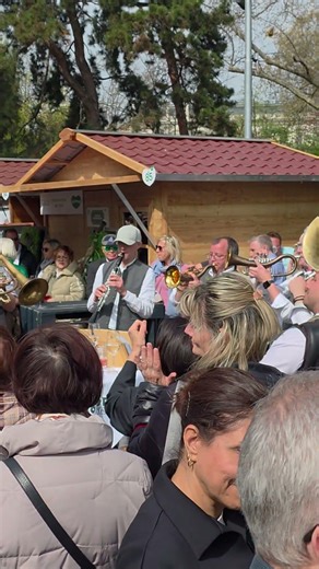 Traditional #Austrian music