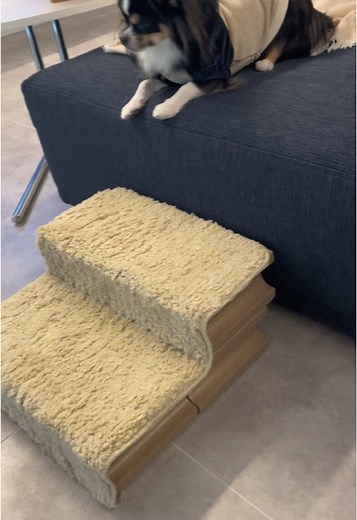 犬用階段の手作り方法｜100均で簡単DIY