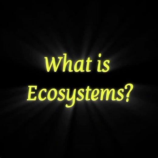 What is an Ecosystem — and Why Should You Care? An ecosystem is the natural system where living things — humans, animals, birds, plants and insects — interact with non-living things like air, water, soil and sunlight. Every single creature has a role. Remove one, and the whole balance breaks. Now think about your own street. Your neighborhood. Your city. Street dogs and cats are a vital part of our urban ecosystem. They eat leftover food and dead animals, stopping harmful bacteria from spreading