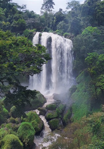 Hidden deep in the greenery of Kendal, Sewu Waterfall flows with quiet power and timeless beauty. Three streams of water fall side by side, surrounded by dense forest and fresh mountain air creating a place where nature feels pure. Would you add this waterfall to your Central Java journey? Cr/ig: uss.mov 📍 Central Java, Indonesia #WonderfulIndonesia #NatureEscape #HiddenWaterfall #CentralJava #ExploreIndonesia