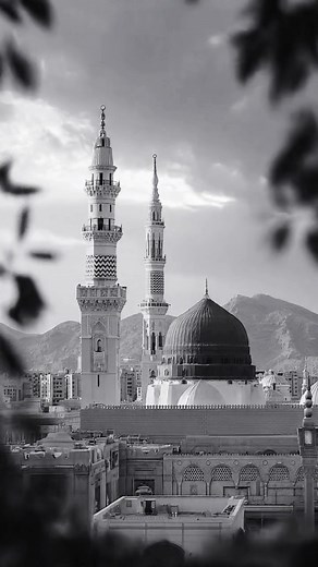 I love Mohammed 💚💯 2M 💯 💚💯3M..#minecraft😊 #motivational #love