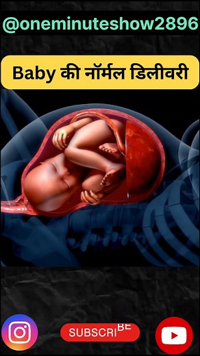 1.8M views · 10K reactions | baby की normal delivery कैसे कराई जाती है आईए देखते हैं। #viral #health #baby #trendingshorts #fact #shortsvideo #3danimation #factsinhindi #animation #video #deliveryboy . @highlight credit -neuro healing therapy Love this channel ❤️❤️❤️❤️❤️❤️❤️❤️❤️❤️ | DrSantosh Kumar Verma | Facebook