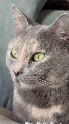 Do we still have much time?