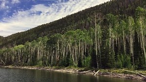 Osprey Catching Fish Stock Footage Video (100% Royalty-free) 1012405598 | Shutterstock