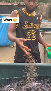 39K views · 364 reactions | Beauty of fish farming | Fish king | Facebook