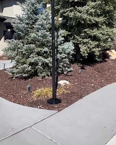 ‼NEW‼ Black Anodized FREEDOM EDITION ⭐20-50% OFF, Flagpoles Starting at $159.00!⭐ | Service First