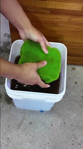 Aquarium Filter Maintenance on the UNS Delta Filter