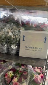 B-Line Transport on Reels | Facebook