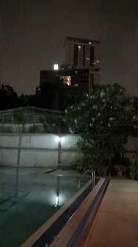 UFO Frogs Thailand - Comment if you know what it is - Also frogs use the pool more than humans