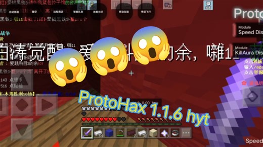 潘宏驾驶ProtoHax去2023年的花雨庭接狗 ft.ProtoHax 1.1.6