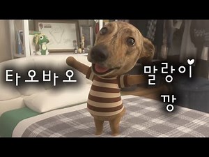 타오바오 말랑이 깡