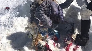 Frozen corpse of mountaineer found 31 years after she disappeared